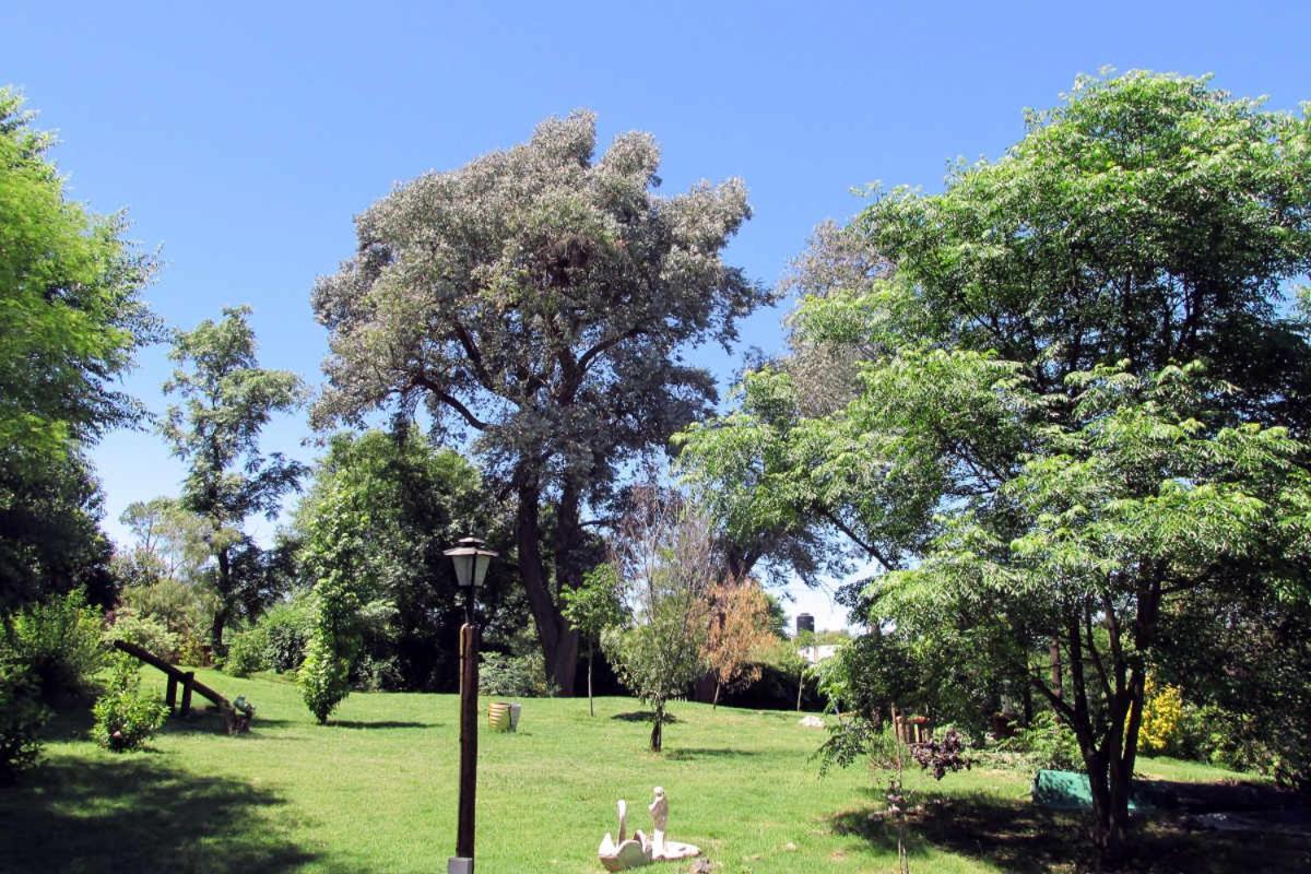 Luna Cautiva Casa De Campo Hotell Santa Rosa de Calamuchita Exteriör bild